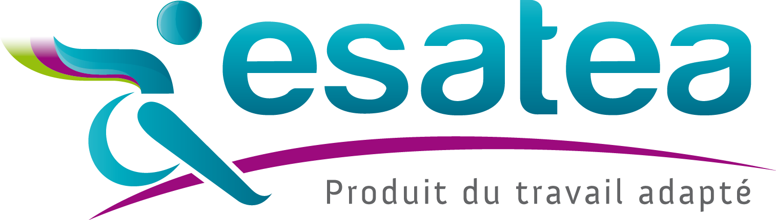 Poste de Délégué(e) Commercial(e) - Esatea